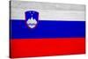 Slovenia Flag Design with Wood Patterning - Flags of the World Series-Philippe Hugonnard-Stretched Canvas