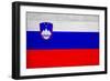 Slovenia Flag Design with Wood Patterning - Flags of the World Series-Philippe Hugonnard-Framed Art Print