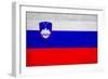 Slovenia Flag Design with Wood Patterning - Flags of the World Series-Philippe Hugonnard-Framed Art Print