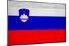 Slovenia Flag Design with Wood Patterning - Flags of the World Series-Philippe Hugonnard-Mounted Art Print