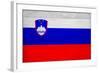 Slovenia Flag Design with Wood Patterning - Flags of the World Series-Philippe Hugonnard-Framed Art Print