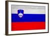 Slovenia Flag Design with Wood Patterning - Flags of the World Series-Philippe Hugonnard-Framed Art Print