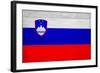 Slovenia Flag Design with Wood Patterning - Flags of the World Series-Philippe Hugonnard-Framed Art Print