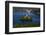 Slovenia, Gorenjska, Upper Carniola, Bled, Lake Bled-Udo Siebig-Framed Photographic Print