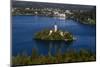 Slovenia, Gorenjska, Upper Carniola, Bled, Lake Bled-Udo Siebig-Mounted Photographic Print