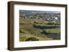 Slovenia, Goriska Brda region. A rich viticulture region with fields of vines-Brenda Tharp-Framed Photographic Print