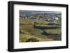 Slovenia, Goriska Brda region. A rich viticulture region with fields of vines-Brenda Tharp-Framed Photographic Print