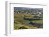 Slovenia, Goriska Brda region. A rich viticulture region with fields of vines-Brenda Tharp-Framed Photographic Print