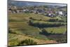 Slovenia, Goriska Brda region. A rich viticulture region with fields of vines-Brenda Tharp-Mounted Photographic Print