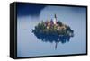 Slovenia, Julian Alps, Upper Carniola, Lake Bled. Aerial View of the Island on Lake Bled-Ken Scicluna-Framed Stretched Canvas