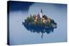 Slovenia, Julian Alps, Upper Carniola, Lake Bled. Aerial View of the Island on Lake Bled-Ken Scicluna-Stretched Canvas