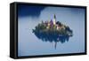 Slovenia, Julian Alps, Upper Carniola, Lake Bled. Aerial View of the Island on Lake Bled-Ken Scicluna-Framed Stretched Canvas