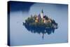 Slovenia, Julian Alps, Upper Carniola, Lake Bled. Aerial View of the Island on Lake Bled-Ken Scicluna-Stretched Canvas