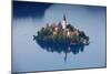 Slovenia, Julian Alps, Upper Carniola, Lake Bled. Aerial View of the Island on Lake Bled-Ken Scicluna-Mounted Photographic Print