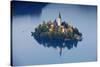 Slovenia, Julian Alps, Upper Carniola, Lake Bled. Aerial View of the Island on Lake Bled-Ken Scicluna-Stretched Canvas