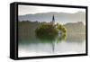 Slovenia, Julian Alps, Upper Carniola-Ken Scicluna-Framed Stretched Canvas