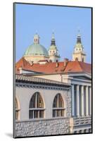 Slovenia, Ljubljana, Early Morning Rooftops-Rob Tilley-Mounted Photographic Print