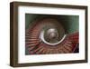 Slovenia, Ljubljana. Spiral staircase seen top down.-Jaynes Gallery-Framed Photographic Print