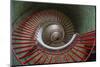 Slovenia, Ljubljana. Spiral staircase seen top down.-Jaynes Gallery-Mounted Photographic Print