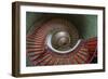 Slovenia, Ljubljana. Spiral staircase seen top down.-Jaynes Gallery-Framed Photographic Print