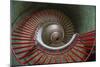 Slovenia, Ljubljana. Spiral staircase seen top down.-Jaynes Gallery-Mounted Photographic Print