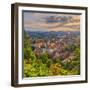 Slovenia, Ljubljana, Sveti Florijana (Or Sentflorjanska) Cerkev and Sveti Jakoba Cerkev Beyond-Alan Copson-Framed Photographic Print