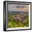 Slovenia, Ljubljana, Sveti Florijana (Or Sentflorjanska) Cerkev and Sveti Jakoba Cerkev Beyond-Alan Copson-Framed Photographic Print