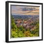 Slovenia, Ljubljana, Sveti Florijana (Or Sentflorjanska) Cerkev and Sveti Jakoba Cerkev Beyond-Alan Copson-Framed Photographic Print