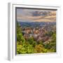 Slovenia, Ljubljana, Sveti Florijana (Or Sentflorjanska) Cerkev and Sveti Jakoba Cerkev Beyond-Alan Copson-Framed Photographic Print