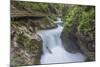 Slovenia, Near Bled, Vintgar Gorge-Rob Tilley-Mounted Photographic Print