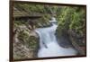 Slovenia, Near Bled, Vintgar Gorge-Rob Tilley-Framed Photographic Print