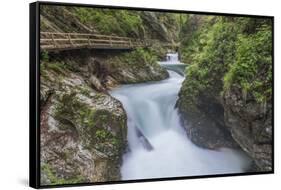 Slovenia, Near Bled, Vintgar Gorge-Rob Tilley-Framed Stretched Canvas