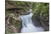 Slovenia, Near Bled, Vintgar Gorge-Rob Tilley-Stretched Canvas