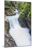 Slovenia, Near Bled, Vintgar Gorge-Rob Tilley-Mounted Photographic Print