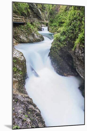 Slovenia, Near Bled, Vintgar Gorge-Rob Tilley-Mounted Photographic Print