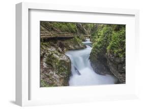 Slovenia, Near Bled, Vintgar Gorge-Rob Tilley-Framed Photographic Print