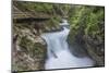 Slovenia, Near Bled, Vintgar Gorge-Rob Tilley-Mounted Photographic Print