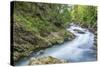 Slovenia, Near Bled, Vintgar Gorge-Rob Tilley-Stretched Canvas