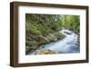 Slovenia, Near Bled, Vintgar Gorge-Rob Tilley-Framed Photographic Print