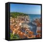 Slovenia, Primorska, Piran, Old Town, Tartinijev Trg (Tartini Square)-Alan Copson-Framed Stretched Canvas