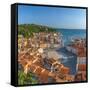 Slovenia, Primorska, Piran, Old Town, Tartinijev Trg (Tartini Square)-Alan Copson-Framed Stretched Canvas