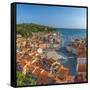 Slovenia, Primorska, Piran, Old Town, Tartinijev Trg (Tartini Square)-Alan Copson-Framed Stretched Canvas