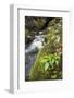 Slovenia, Triglav, National-Park, Rapids, Nature, Plants, Torrent-Rainer Mirau-Framed Photographic Print