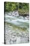 Slovenia, Triglav National Park, Soca River-Rob Tilley-Stretched Canvas