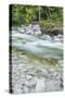 Slovenia, Triglav National Park, Soca River-Rob Tilley-Stretched Canvas