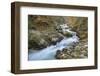 Slovenia, Vintgar. River flowing through the Vintgar Gorge.-Brenda Tharp-Framed Photographic Print