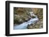 Slovenia, Vintgar. River flowing through the Vintgar Gorge.-Brenda Tharp-Framed Photographic Print