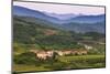 Slovenia Wine Region Countryside, Goriska Brda (Gorizia Hills), Slovenia, Europe-Matthew Williams-Ellis-Mounted Photographic Print