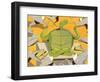 Slow! 2009-A Richard Allen-Framed Giclee Print