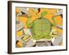 Slow! 2009-A Richard Allen-Framed Giclee Print